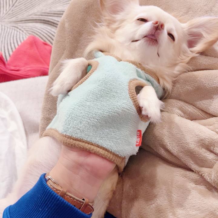 8f52b83a 3734 40f6 a281 c3baeb8ed77d 1732710395404