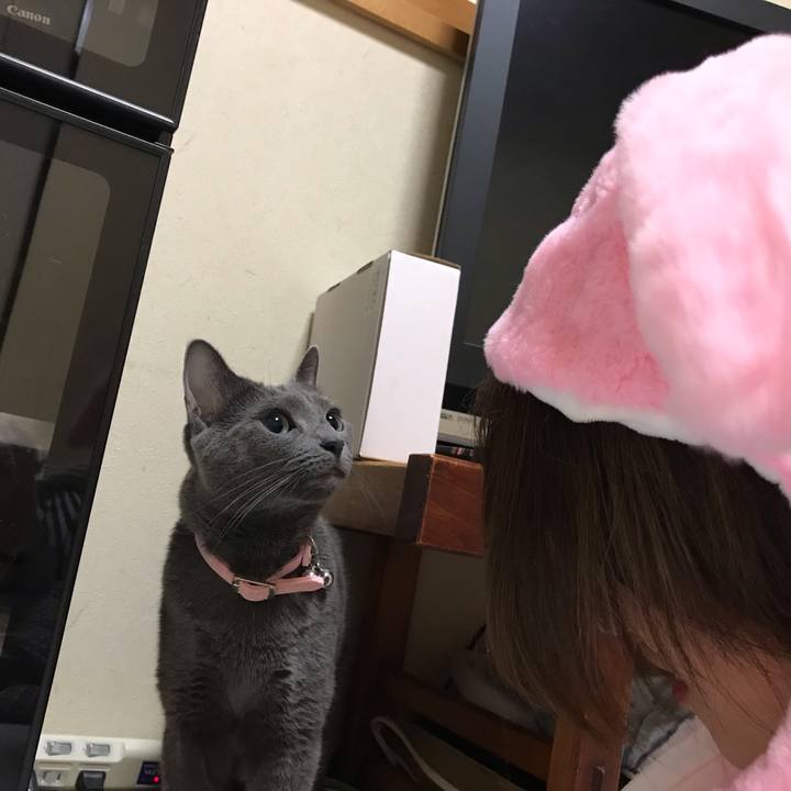 8f53076f 5f42 4364 85e1 829a3bb79ab6 1563289216152