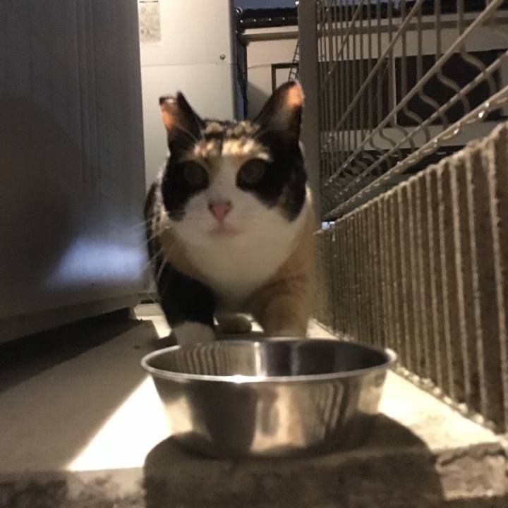 8f535b77 bf55 4a53 b629 377658215dc4 1513271488563