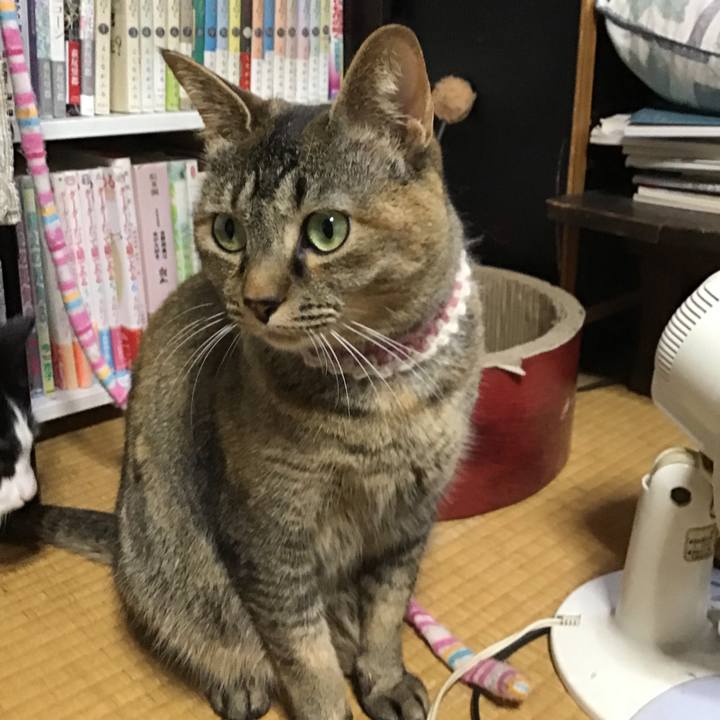 8f539c86 0247 4fd1 b27f 401b9cd7beb3 1653114133350