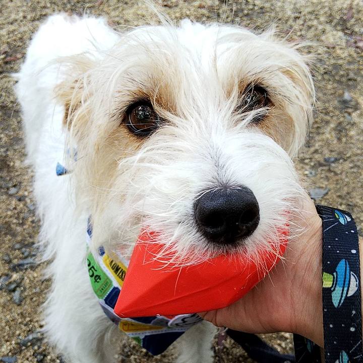 8f53a3f8 e1fa 45bf 9342 63242680e438 1564288707402