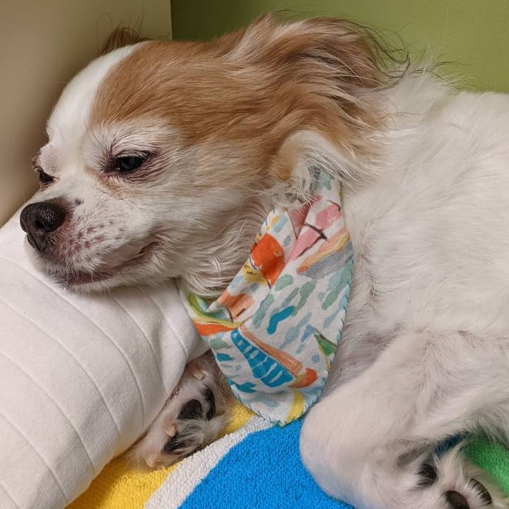 8f53b190 125e 4c8d beed 117e541f3a59 1634381170236