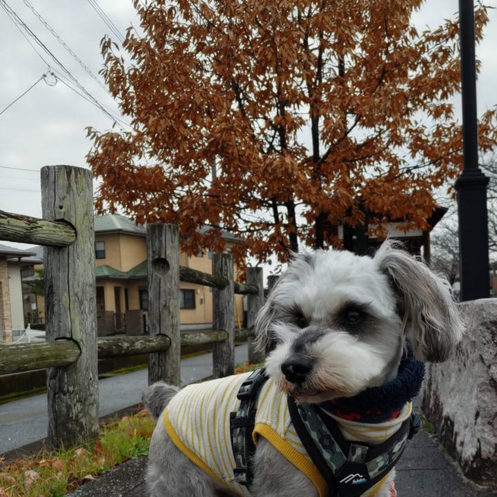 8f53ca09 ebcf 43ae bac5 6d50569f898d 1735183328497