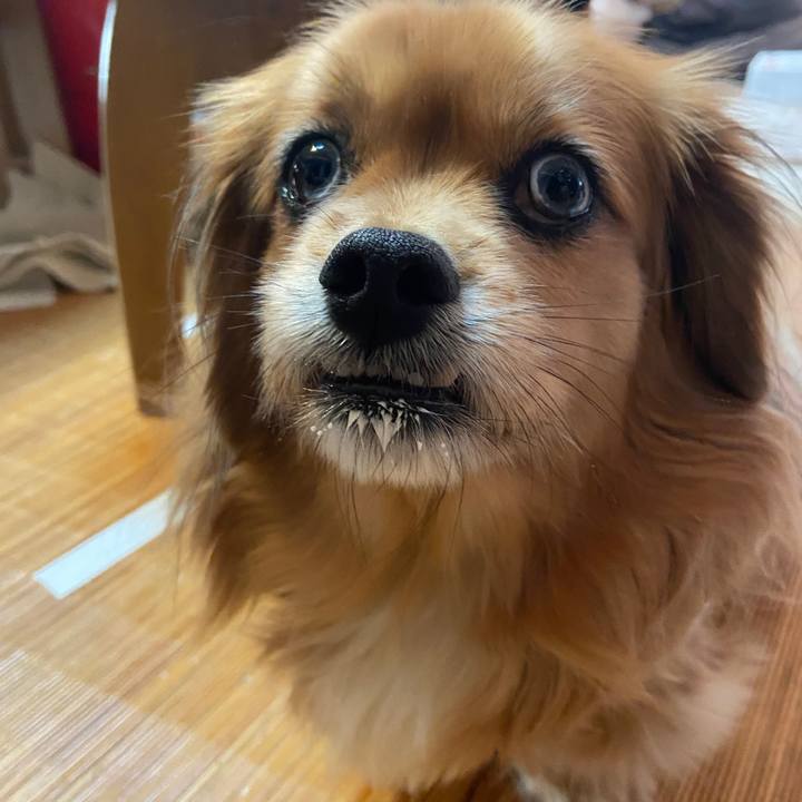 8f542458 dda1 4540 b660 60264ea50485 1675637373782