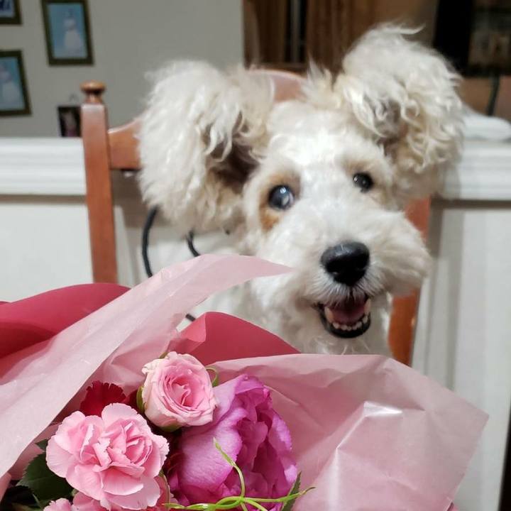 8f547304 75a4 43f9 a5b3 49260f8198f4 1557491373076