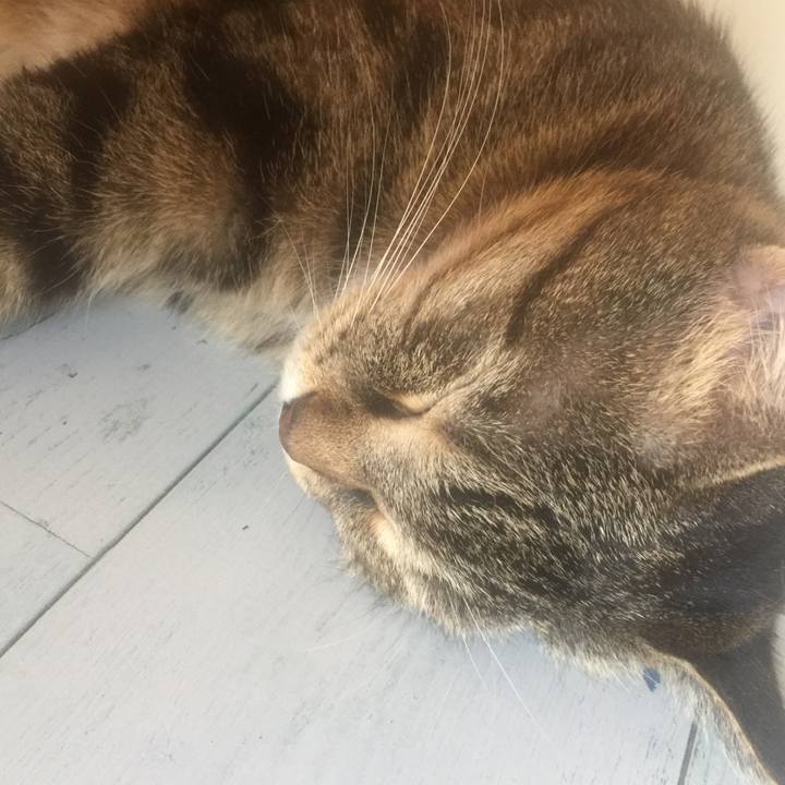 8f549354 bf8d 4c87 a6ae abd33c99e9f5 1570257390524