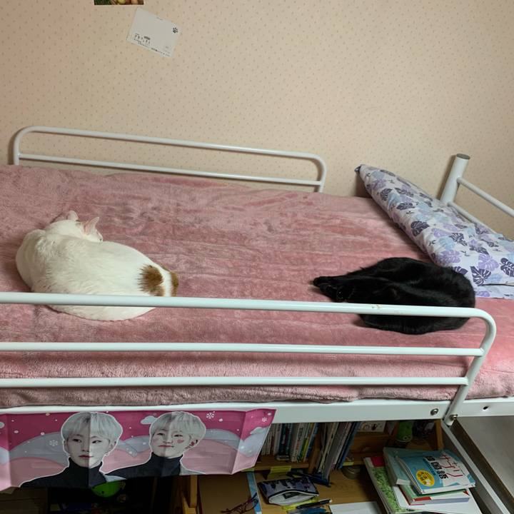 8f54a231 f74f 4e65 9c0f e5c50657ed5c 1581425414513