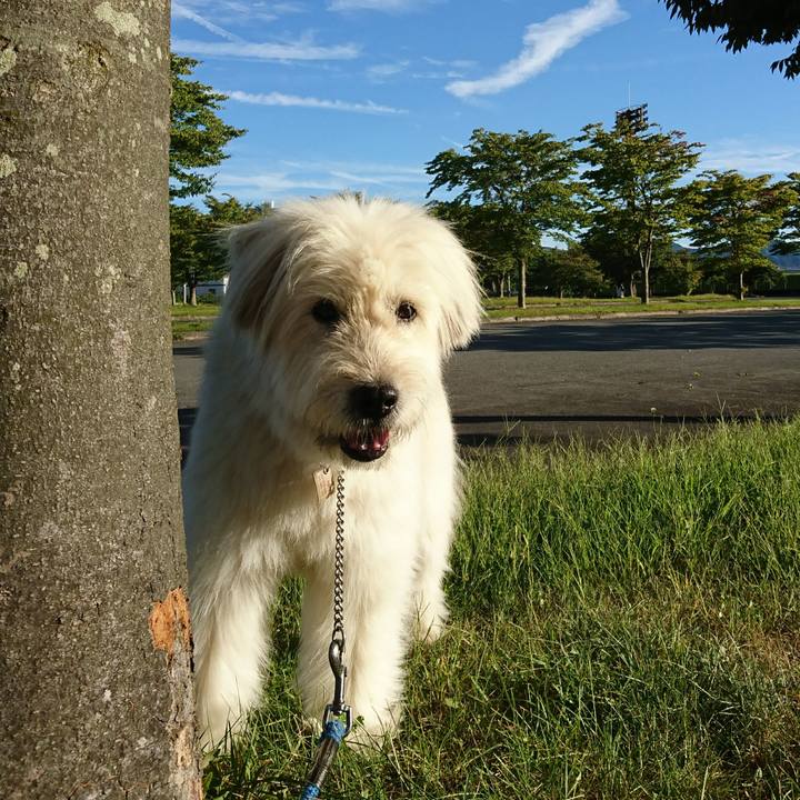 8f54c321 8291 4692 881e ccb61bf28cfe 1569485346729