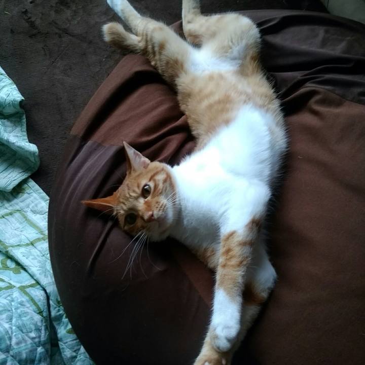 8f54cdfe b019 430e b6c4 fb67ea4d7afd 1563535290712