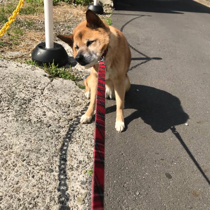 8f54dece f898 49e3 8c02 45fce894e1de 1524268533940