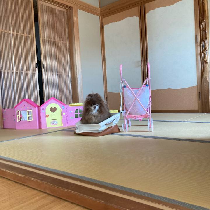 8f550a3d 87b2 4e01 b992 1ff610ec3bac 1727217344446