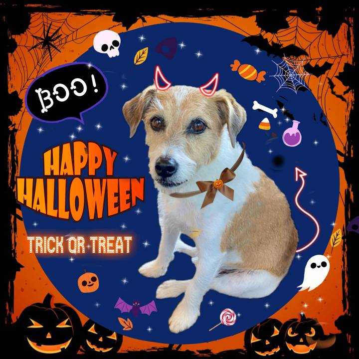 8f5513f7 6b12 44f4 abc5 d0c47fae8b02 1761913918044