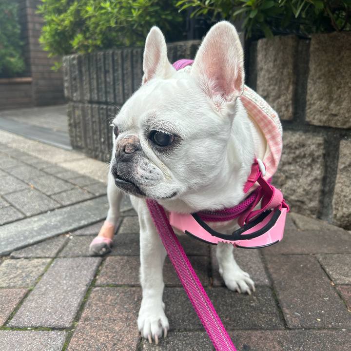 8f5520f8 7fe7 4298 ab54 f4dfcfa672ad 1762575170929