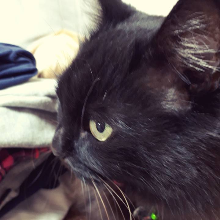 8f5542e2 e35f 4e9d 8f9d 9278545bbf33 1518122566566