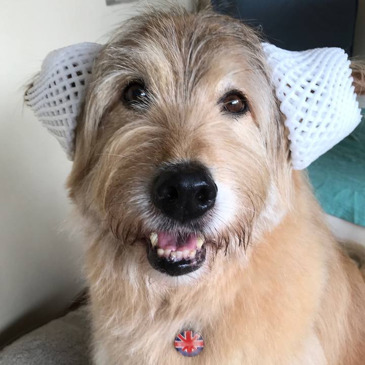 8f554514 dc28 4c48 93ce f2db2c0a1305 1624326473619