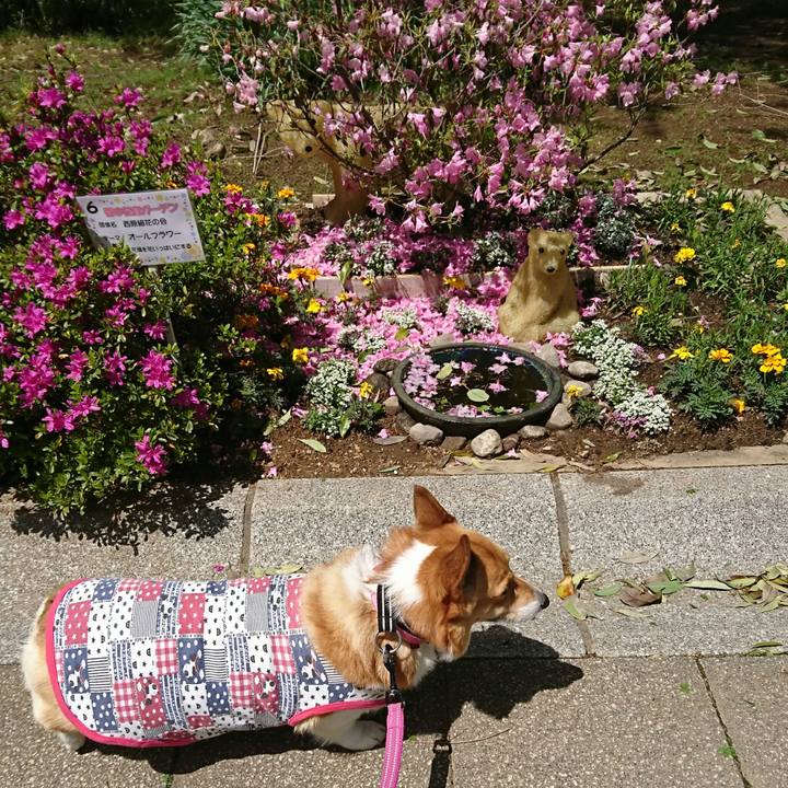 8f555400 5719 4653 a228 2d7fcca5ec46 1556451689092