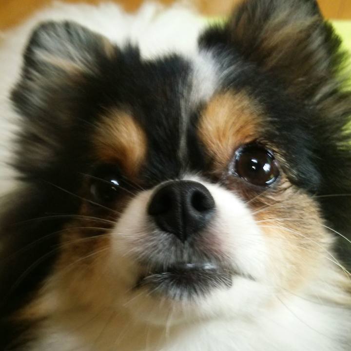 8f556b2a 19ac 4e14 925c 4e351b3f2002 1508630971883