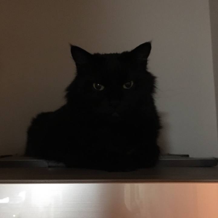 8f558f8e 411d 452f aecb 89be6e7083ae 1525536631802