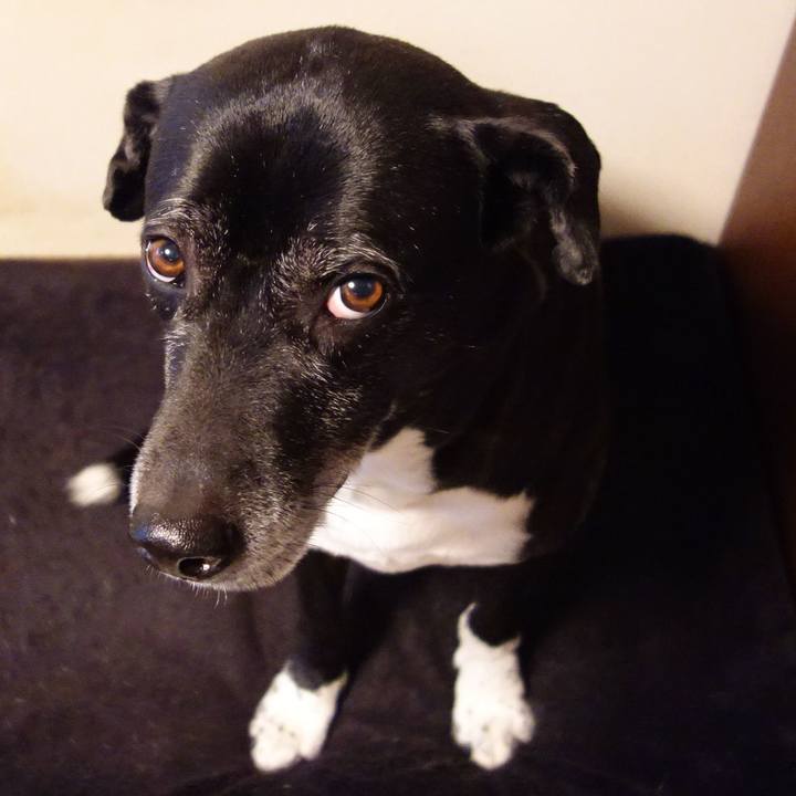 8f55c312 bb2e 4846 9ffd d25fc7386929 1740097908861