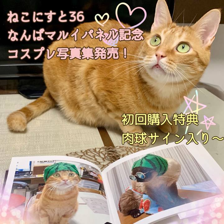 8f55dc4f 893f 4eba bcd8 8e04c939eb18 1624368758689