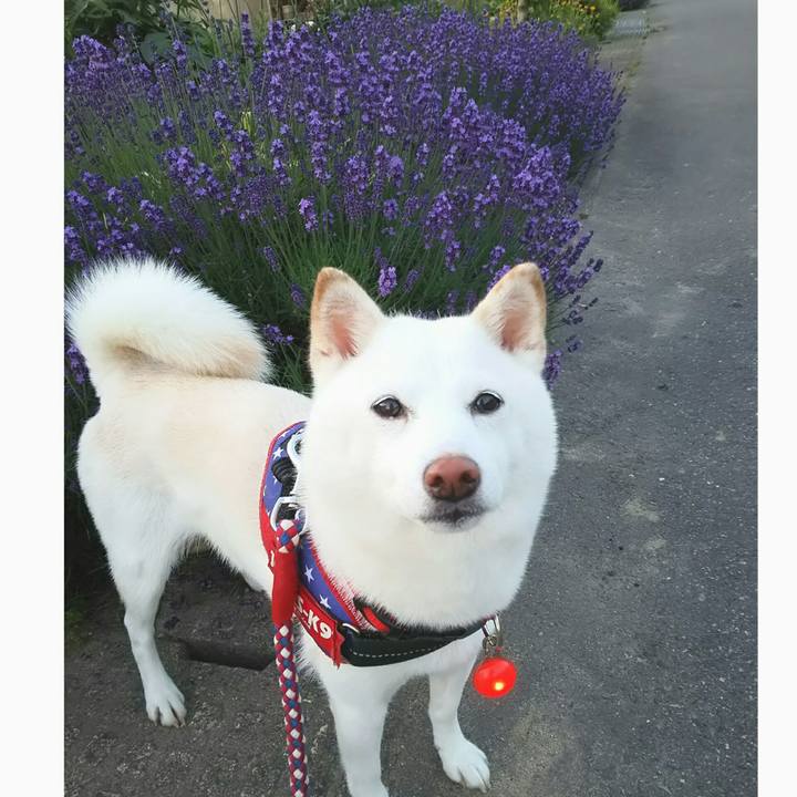 8f55e998 3bf0 4d03 96dd c629eb4463f3 1623326524524