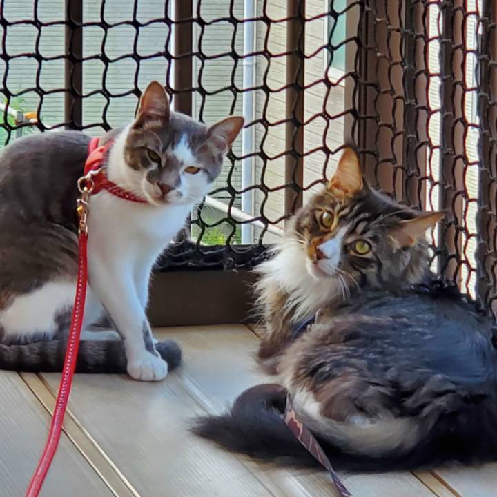 8f55f488 5b1e 4095 9d5d e8e5659c3e15 1688888997504