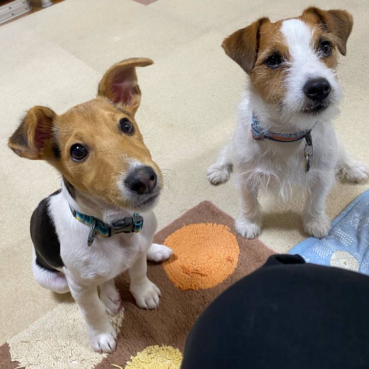 8f560179 a620 435c bde3 1d5c758568d6 1749299359698