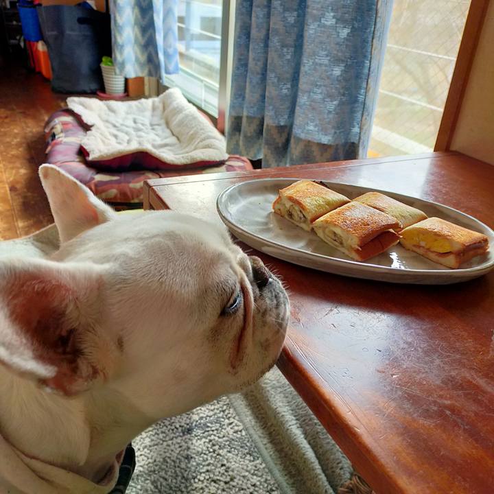 8f561210 9db0 4e42 bd52 cfbbd84c978d 1644275343884