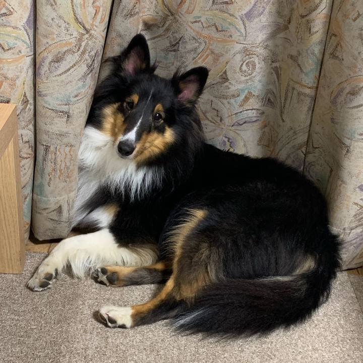 8f561bcd b118 43e4 98c9 4d8e69e4319b 1572557978471