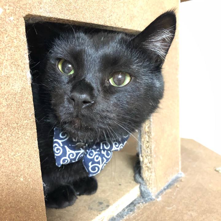 8f56231a 1d8e 4834 8abb 7fb077c03207 1557053105319