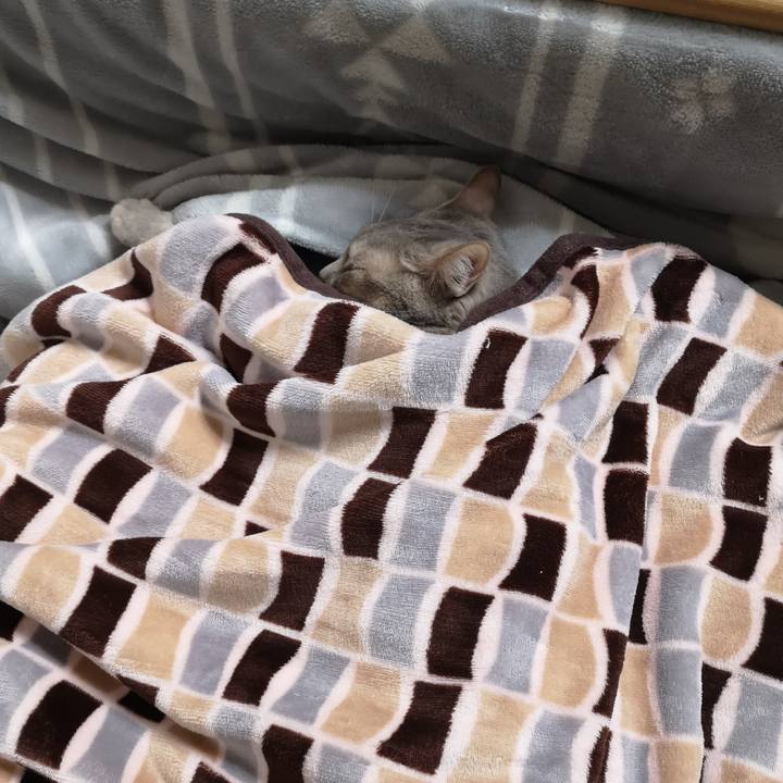 8f56be93 05c5 494f 8ffc 8f2c0cc27252 1582499912018