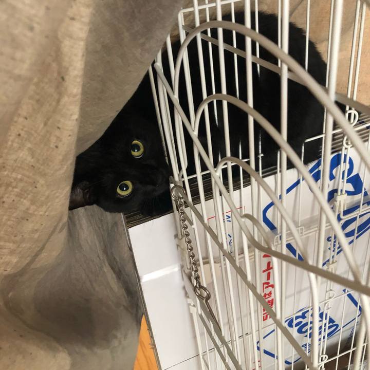 8f56dd00 6f20 4d3f aea6 f28fb6f65b95 1599351344398