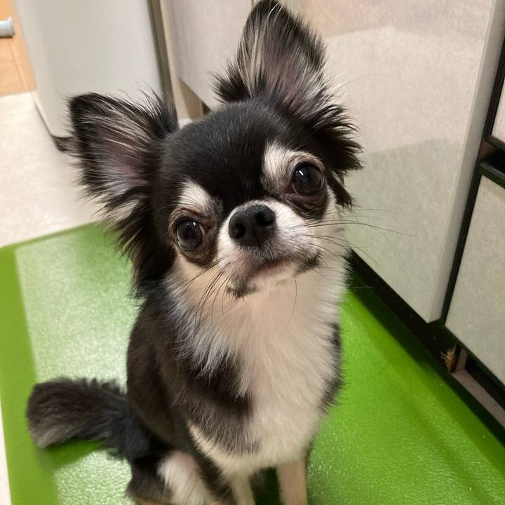 8f572b1e 665a 4e62 9f01 538a76cc6f57 1630761877850