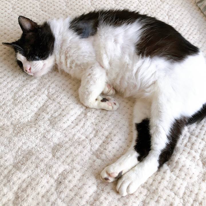 8f5744be e0c7 4b8e a187 b7a69b3b8ab5 1619414216004