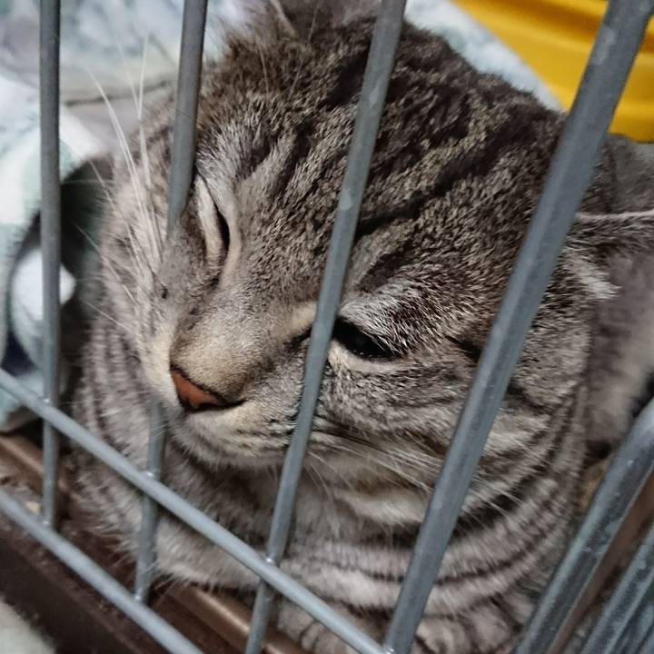 8f5755ca 7cde 4d68 8dd4 728abedb6da1 1512825698161