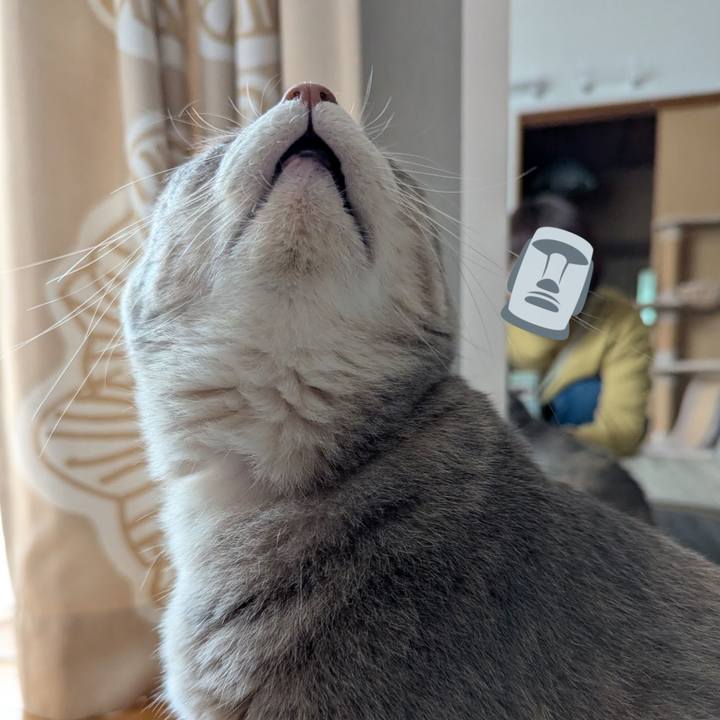 8f5778a8 e20a 460a 9310 5ee2e26666fd 1773016143354