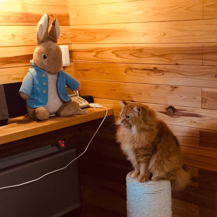 8f577aec f740 4cce a598 c38fa53ca295 1601851846602