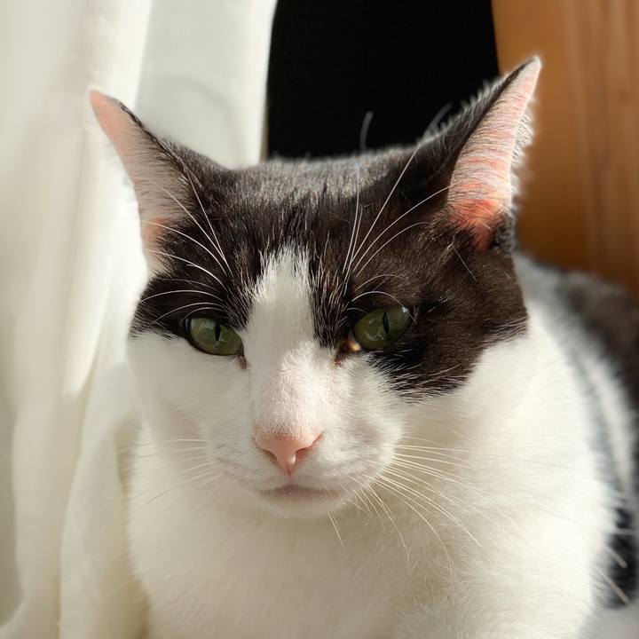 8f578a27 e8eb 4041 9021 3384ae08d490 1573265564567