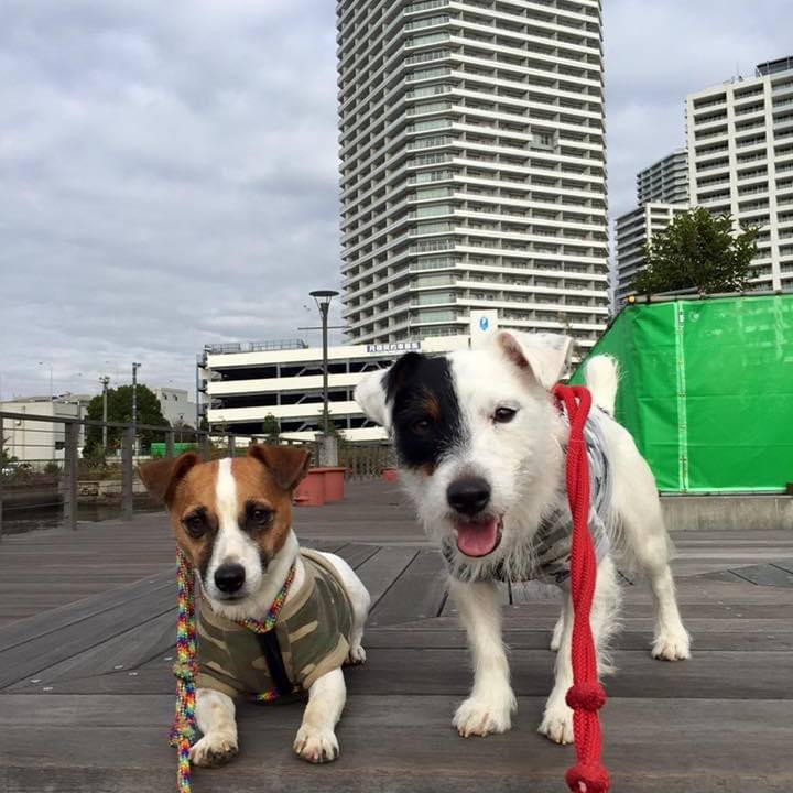 8f57b84d a133 4d85 bc62 e2187f47a2ee 1636804545130