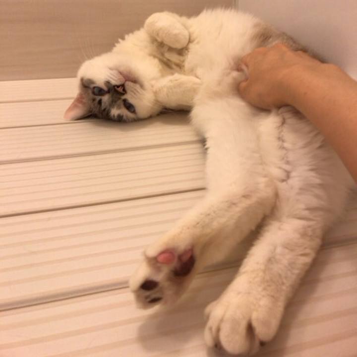 8f57bb44 a1b2 4f05 a11a da929ec35d6b 1552305757822