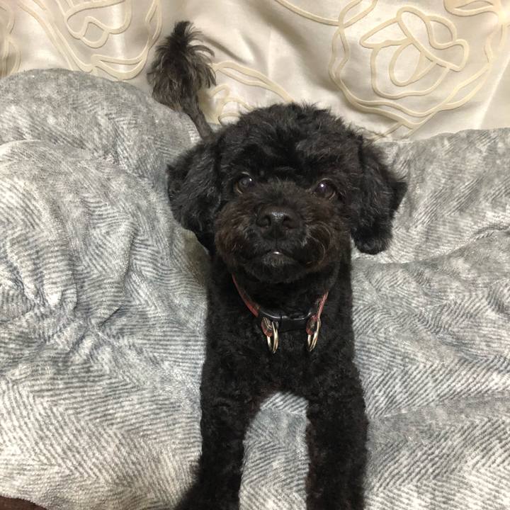 8f57d15e 9b46 4f70 b88a 5ff5b0c052cd 1566008563833