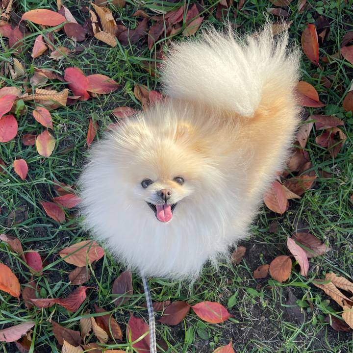 8f58125b f4a9 4786 aea8 eb20666290ed 1732859638433