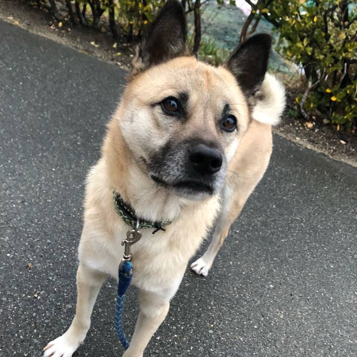 8f583455 a103 46c7 82b7 577cbd2cd3bc 1609159977079