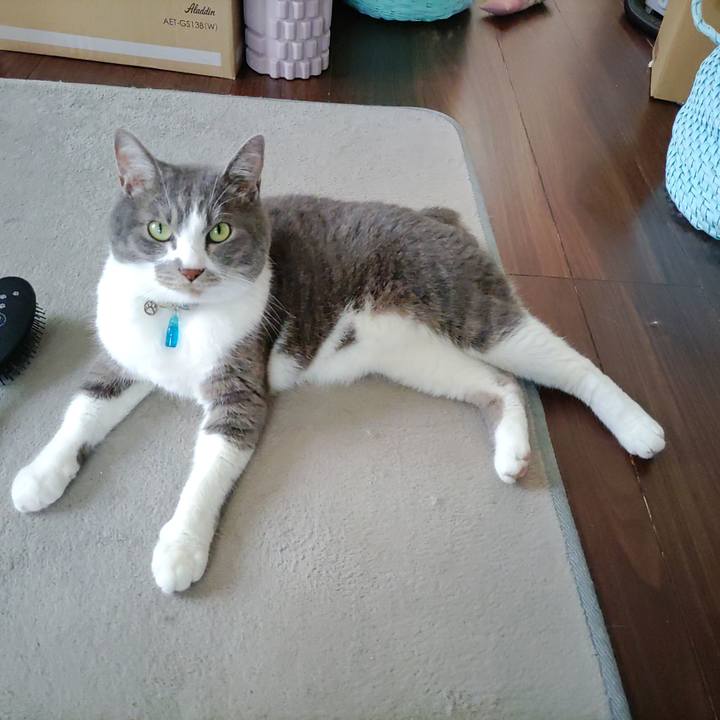 8f5851ae 7935 4d26 906d 2c8209bd75f0 1718244282545