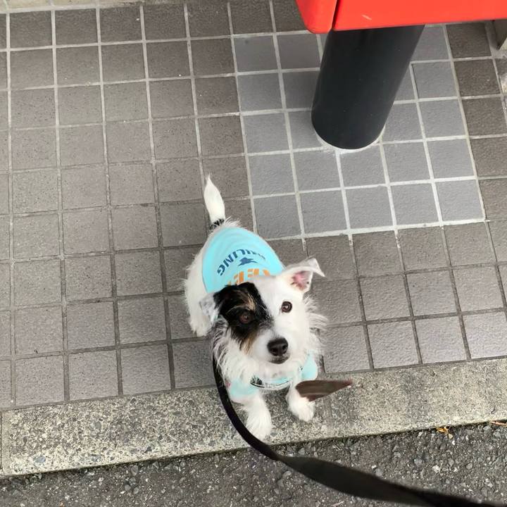 8f586036 1484 4ecb b0b7 6ec1bbbc5c53 1669597612847