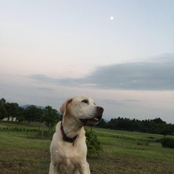 8f586e7b 6253 474d bde0 96c407e3a65d 1619920331063