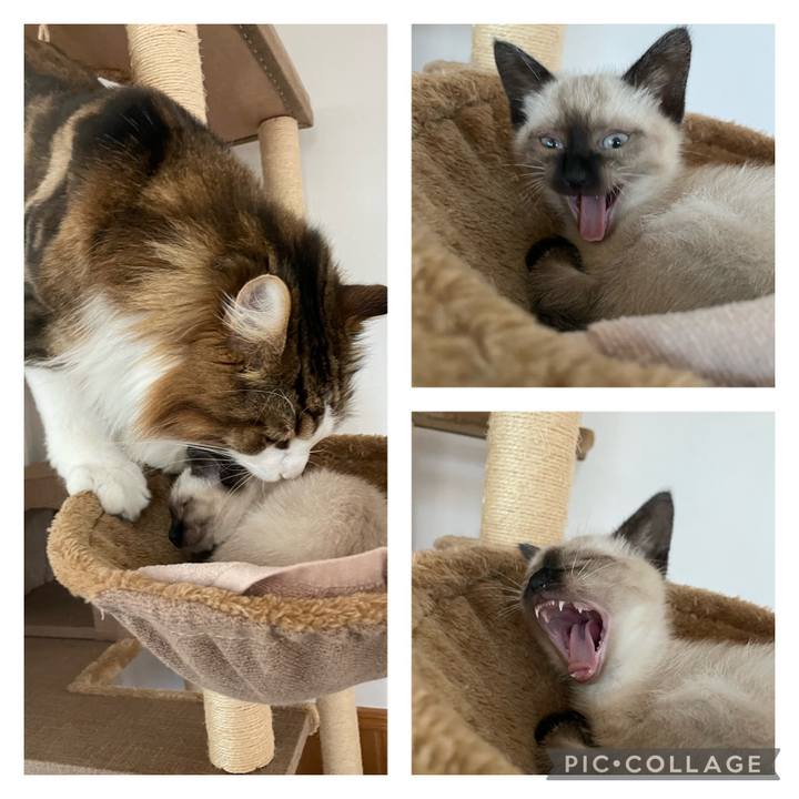 8f58d781 d609 4c91 84a1 ceba9d5fbea0 1688504390776