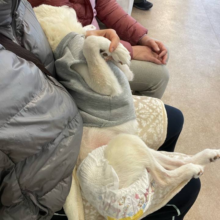 8f5959f9 26ad 4a35 8134 c99402ab4866 1672112309915