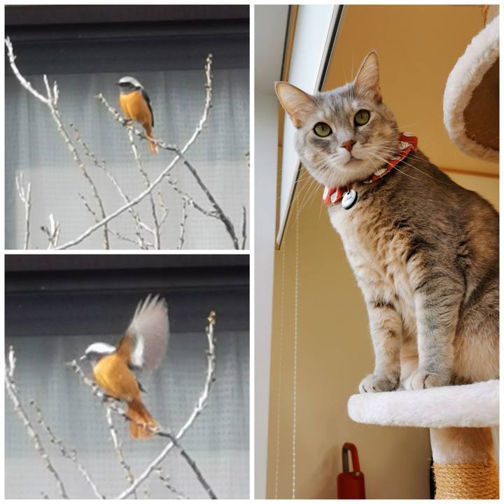 8f596df4 1b84 431d b055 f2037afc6d0a 1672979913472