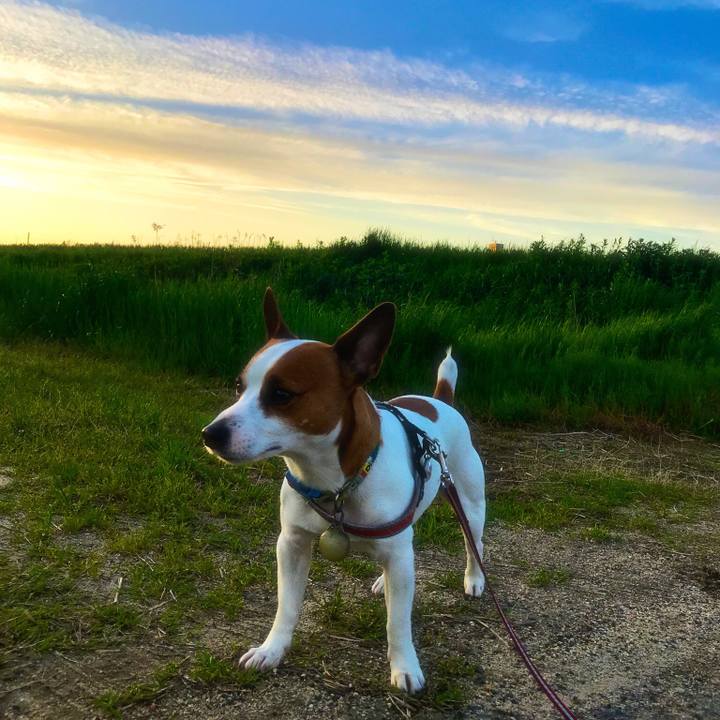 8f59ef87 254b 452d b5c2 0c5d271f4df9 1524664865964